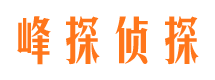 泰山背景调查